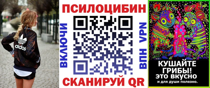 Псилоцибиновые грибы мицелий  закладки  Осташков 